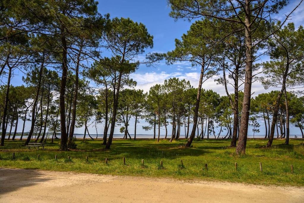 Appartement Des Grands Lacs Sanguinet Εξωτερικό φωτογραφία